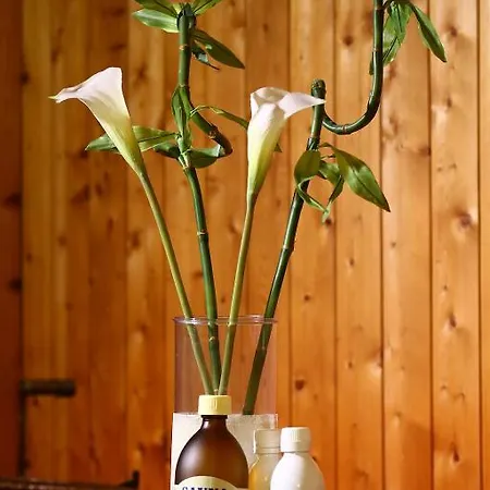 Kaiserpfalz 3* Paderborn